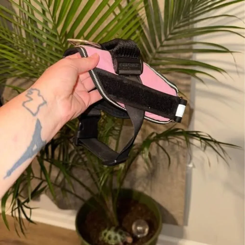 Pink Dog Harness with Patches small